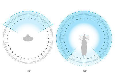 Field of view example